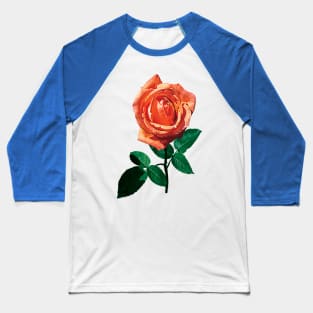 Roses - Graceful Orange Rose Baseball T-Shirt